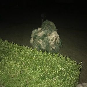 Meet your Posher, Jeff